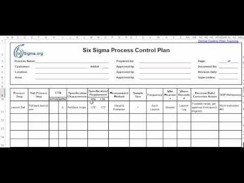 program planning and control